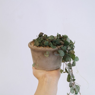 하트가 주렁주렁 달려있는 러브체인 - 토분 2color