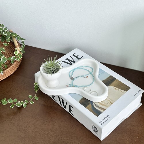 프랜테리어 오브제 이오난사 공기정화식물 미니화분 트레이 세트