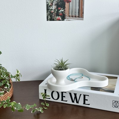 프랜테리어 오브제 이오난사 공기정화식물 미니화분 트레이 세트