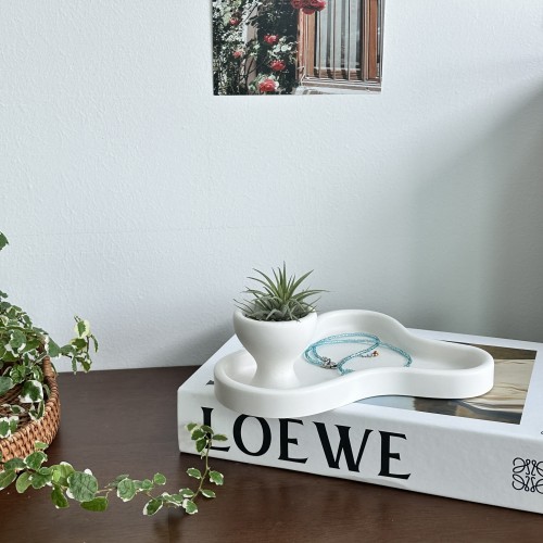 프랜테리어 오브제 이오난사 공기정화식물 미니화분 트레이 세트