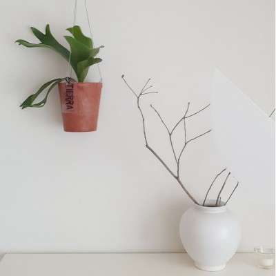 알록달록 행잉화분 공기정화 행잉플랜트 박쥐란  - 화분 9color