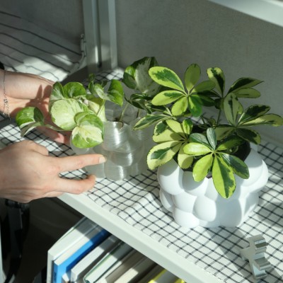 [구르미팟] 식집사가 자체제작 감성 화분커버