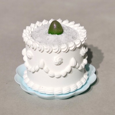 케이크 미니화분 다육이 리툽스 코노피툼 집들이 선물 플렌테리어