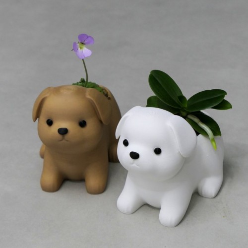 [멍뭉팟] 귀여운 강아지 화분 미니 소형 다육이 난화분 24% 할인