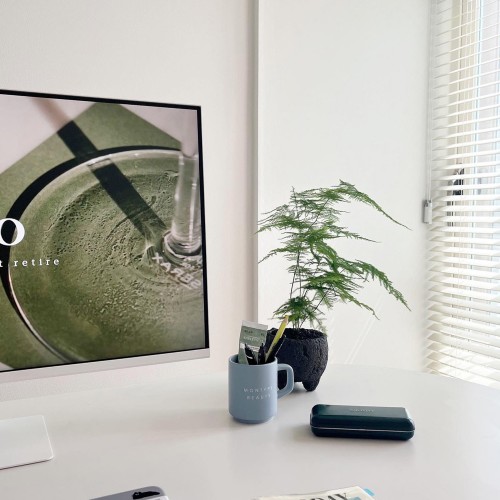 [화분포함 완제품] 키우기 쉬운 여리여리한 잎을가진 아스파라거스 - 블랙 스톤화분