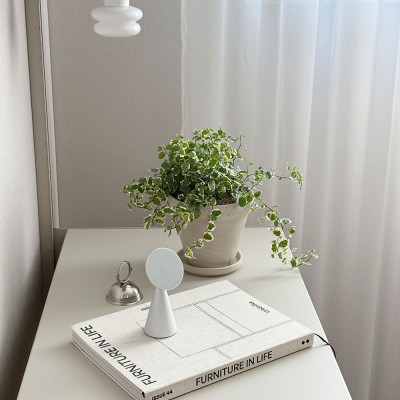 드랍되는 패턴 잎을가진 푸미라 - 토분 2type