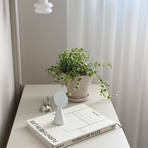 드랍되는 패턴 잎을가진 푸미라 - 토분 2type