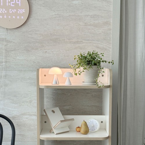 드랍되는 패턴 잎을가진 푸미라 - 토분 2type