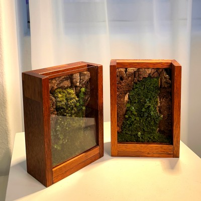 담초 테라리움 원목 인테리어 소품 테라리움 완제품 액자형 01 멀바우