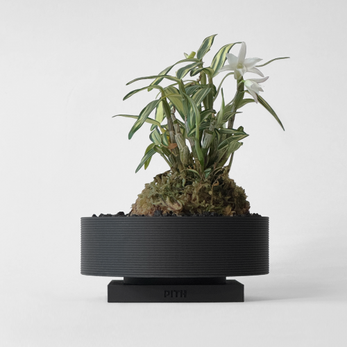 MODI LOW - Matt Black