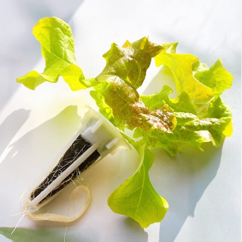 팜인팜 10구 식물재배기 수경재배기 스마트팜