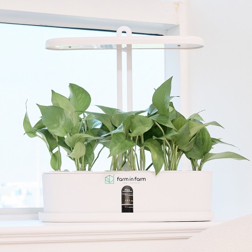 팜인팜 10구 식물재배기 수경재배기 스마트팜