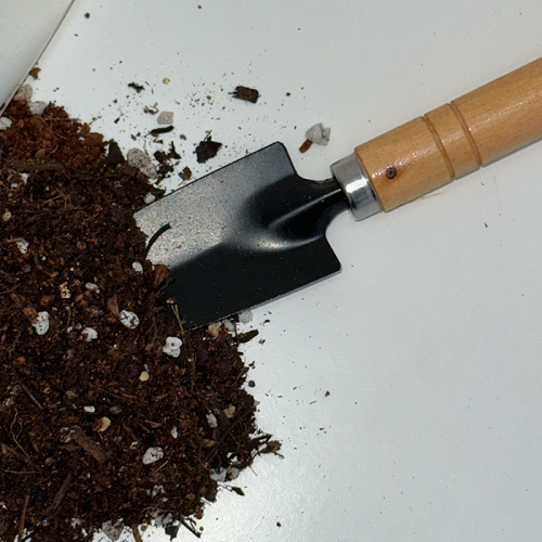 MOA CLEAN SOIL 분갈이 흙 키트 3종