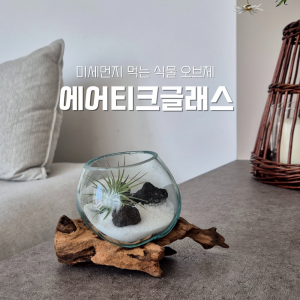 에어티크글라스_미세먼지 먹는 이오난사 오브제