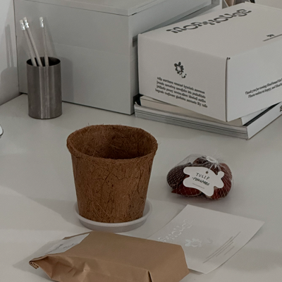 MOA BULB KIT ver.2 무스카리 키우기