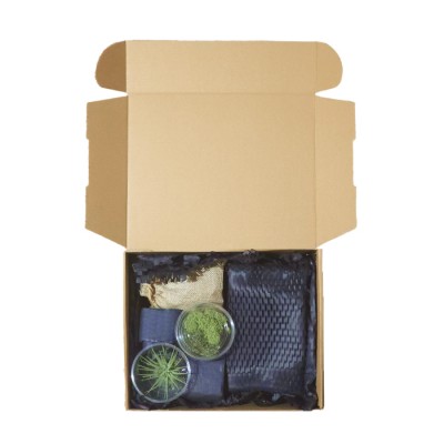 더 나인트리 미니가든 키트