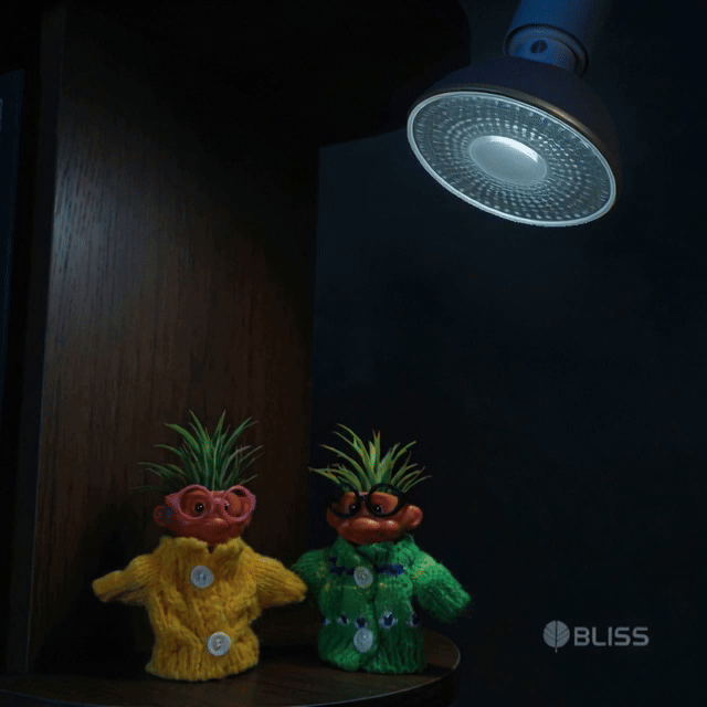 식물등 PAR30 실내가드닝용 풀스펙트럼