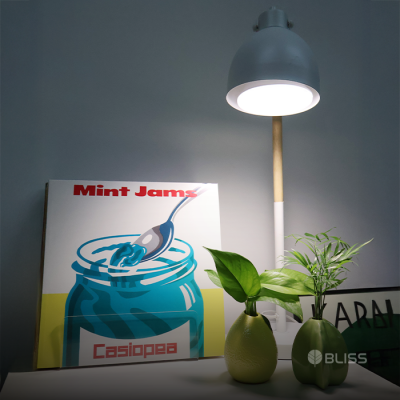 식물등 PAR38 실내가드닝용 풀스펙트럼