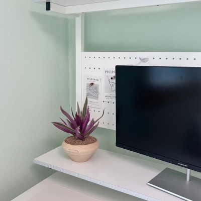 부자란 무늬자주만년초 인테리어 감성화분 납작팽이토분M