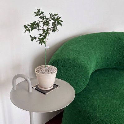 볼올리브 나무 수형이 예쁜 동그리 반려식물 핸드메이드 굽토분