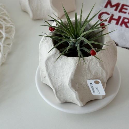 이오난사 공기정화식물 오브제 무드팟 인테리어 소품 선물 크리스마스 화분