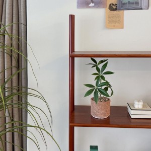 파키라 조화화분 조화 식물 플랜테리어 데스크테리어