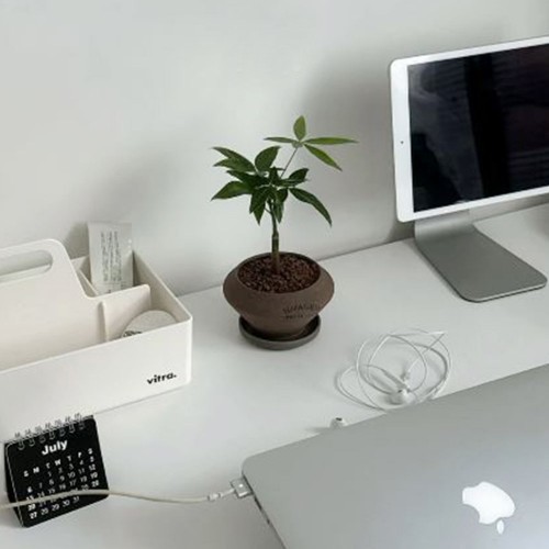 파키라 공기정화 미니화분 납작팽이토분S