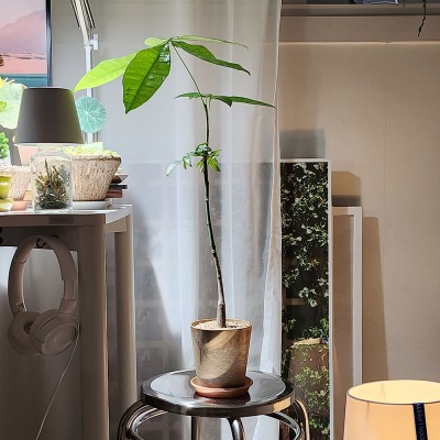 키다리파키라 인테리어 화분 알록달록 컬러플분S