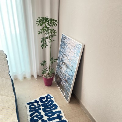 키우기 쉬운 인테리어식물 중대형 쉐프렐라 - 저면관수화분 9COLOR