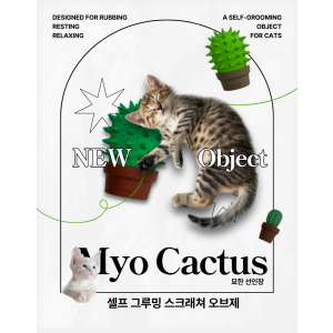 묘한 선인장 X 공동구매