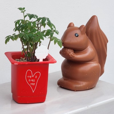 모초진회원님 전용 식집사 UV DTF 방수 스티커 (추가옵션에서 선택해주세요 *미선택시 랜덤 택1 발송)