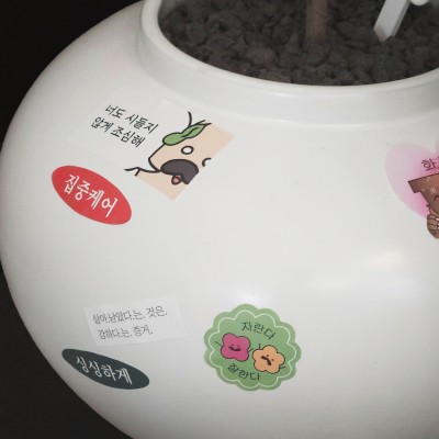 모초진회원님 전용 더 나인트리 식집사 리무버블 스티커팩