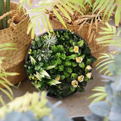 벨벳 미니 원형 포인트 액자 (25cm)