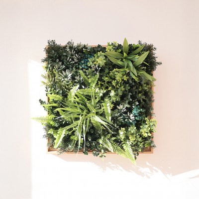 미스티 그린 플랜트 액자 (50x50cm)