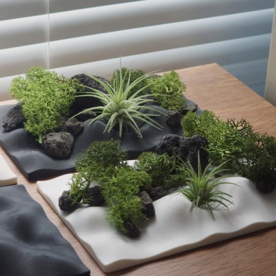 [식목일 이벤트] 회원가입 구매 고객 전용 사은품 선택